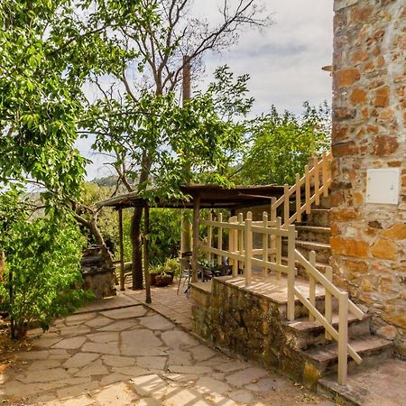Villa Quercia Grossa Roccastrada Exterior foto